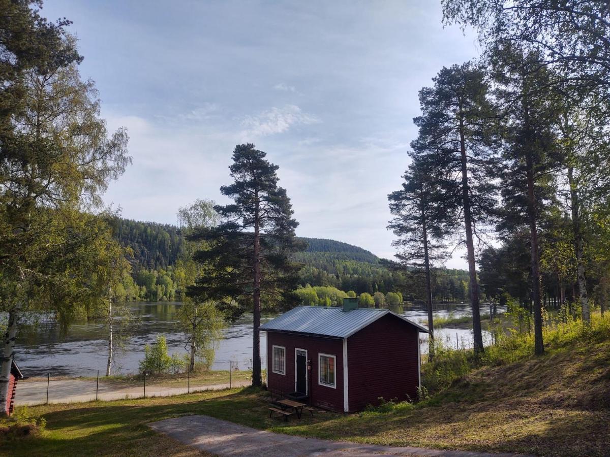 Selholmens Camping Alvsbyn Ngoại thất bức ảnh