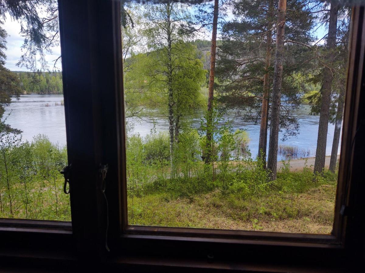 Selholmens Camping Alvsbyn Ngoại thất bức ảnh